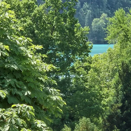 Apartament The Hive - Lake View Apartments Bled